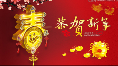2017年公司过年春节放假通知-第1张-公司动态-淄博双威化工