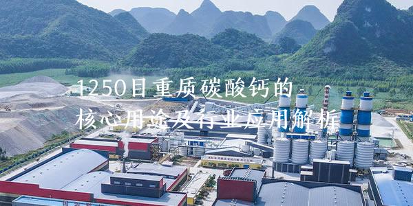 1250目重质碳酸钙的核心用途及行业应用解析