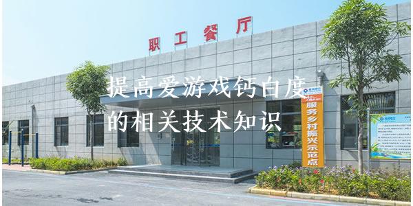 提高碳酸钙白度的相关技术知识