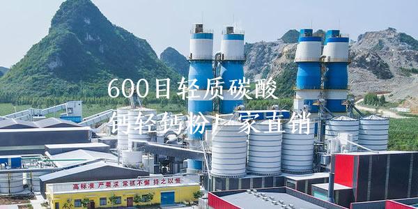 600目轻质碳酸钙轻钙粉厂家直销